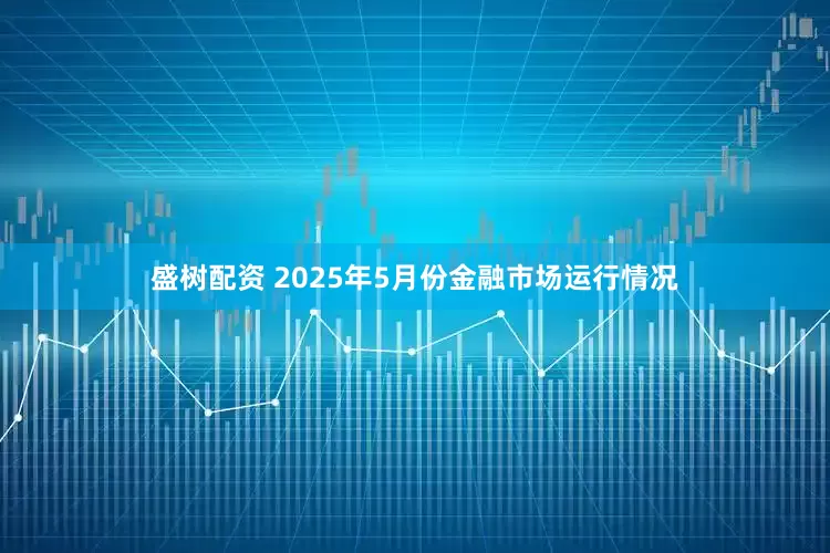 盛树配资 2025年5月份金融市场运行情况
