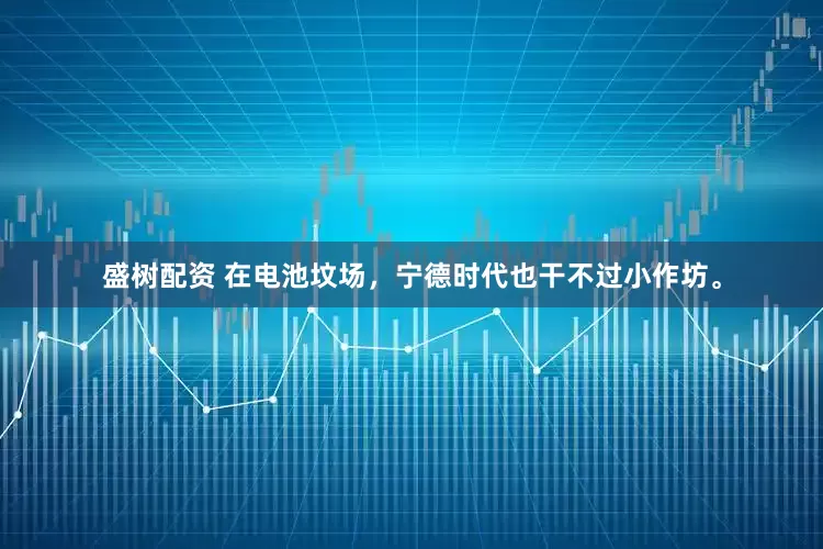 盛树配资 在电池坟场，宁德时代也干不过小作坊。