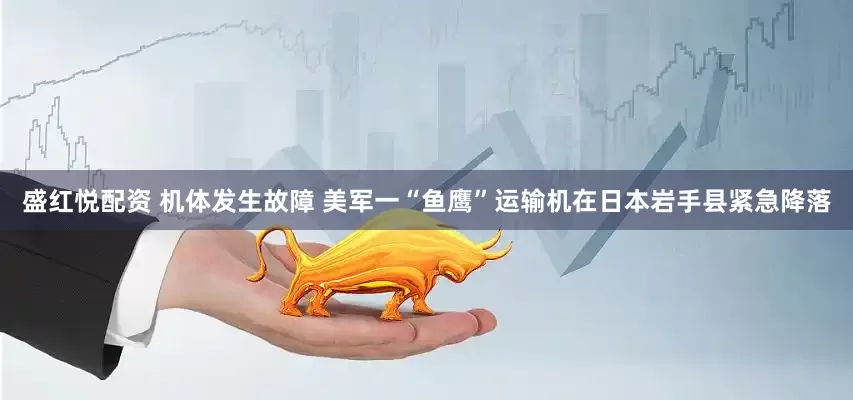 盛红悦配资 机体发生故障 美军一“鱼鹰”运输机在日本岩手县紧急降落
