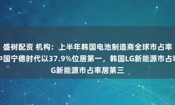 盛树配资 机构：上半年韩国电池制造商全球市占率下降！中国宁德时代以37.9%位居第一，韩国LG新能源市占率居第三