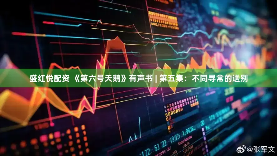 盛红悦配资 《第六号天鹅》有声书 | 第五集：不同寻常的送别