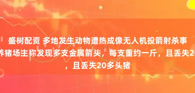 盛树配资 多地发生动物遭热成像无人机投箭射杀事件，有养猪场主称发现多支金属箭头，每支重约一斤，且丢失20多头猪