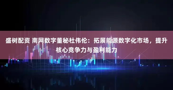 盛树配资 南网数字董秘杜伟伦：拓展能源数字化市场，提升核心竞争力与盈利能力